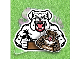 Built Bulldog Boy