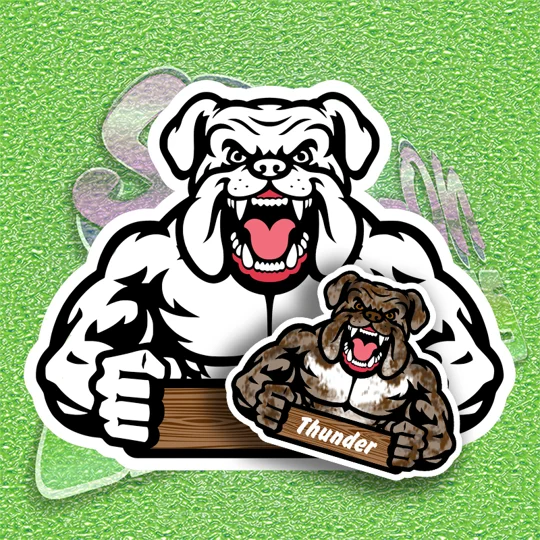 Built Bulldog Boy