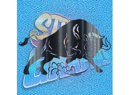 Bull 002