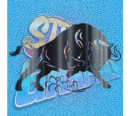 Bull 002