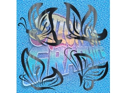 Butterfly 001