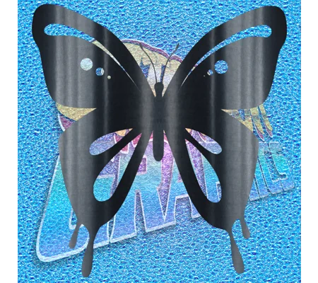 Butterfly 011