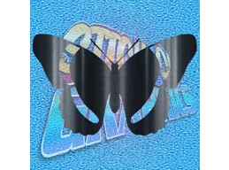 Butterfly 012