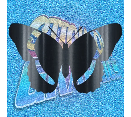 Butterfly 012