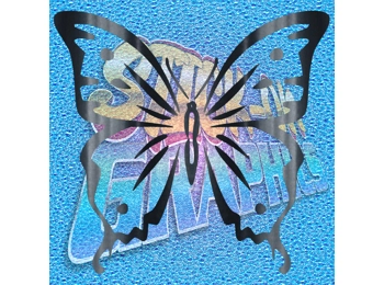 Butterfly 014