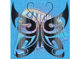 Butterfly 015