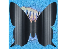 Butterfly 002