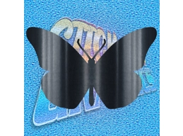 Butterfly 003