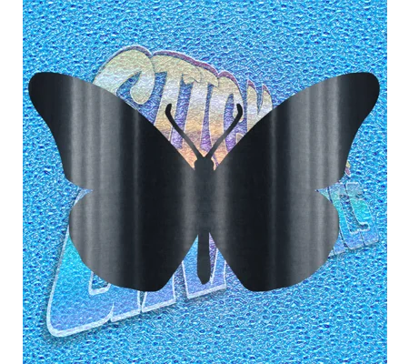 Butterfly 003