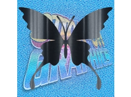 Butterfly 004