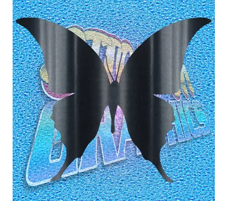 Butterfly 005