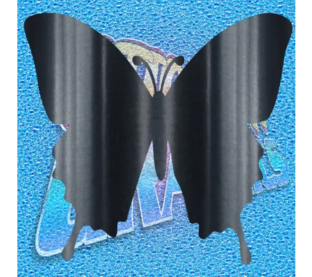 Butterfly 006