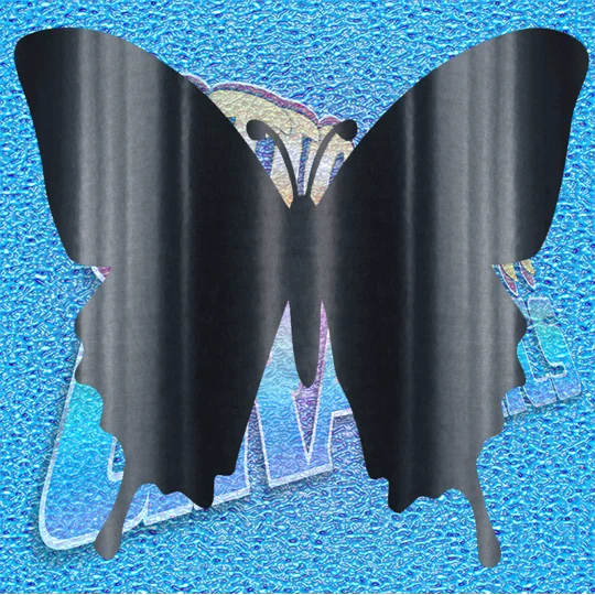Butterfly 006