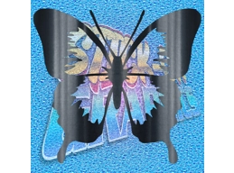 Butterfly 008