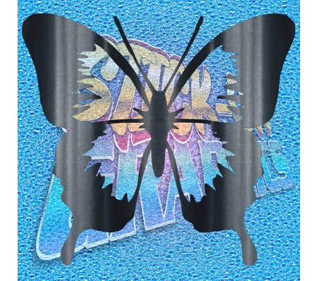 Butterfly 008