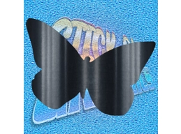 Butterfly 009