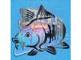 Carp 001