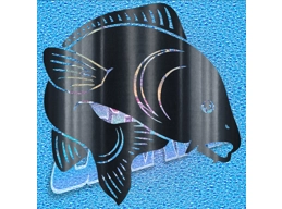 Carp 002