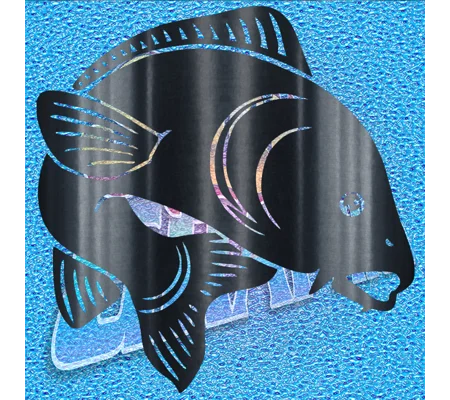 Carp 002