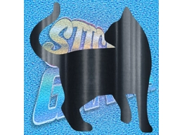 Cat 003