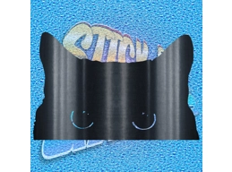 Cat 006