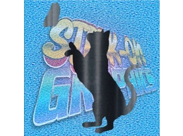 Cat 008