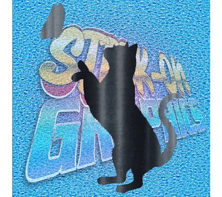 Cat 008