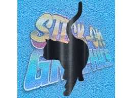 Cat 009