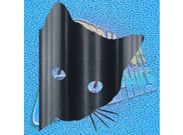 Cat Peep 001