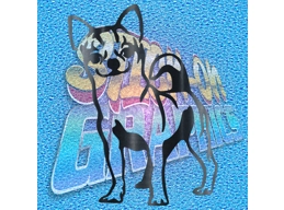 Chihuahua 010