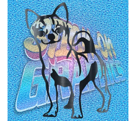 Chihuahua 010
