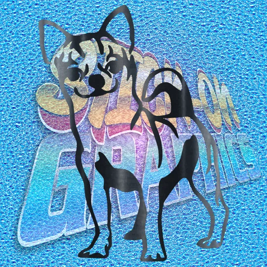 Chihuahua 010