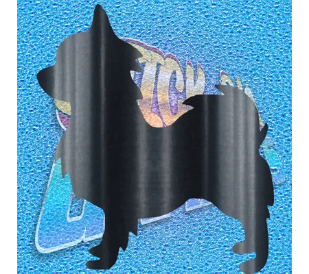 Chihuahua 012