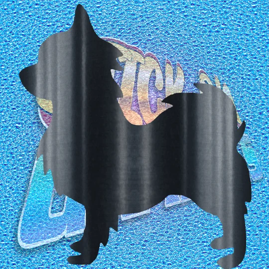 Chihuahua 012