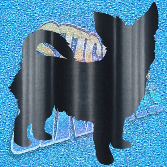 Chihuahua 013
