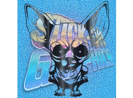 Chihuahua 015