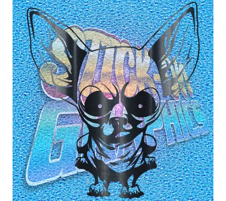 Chihuahua 015