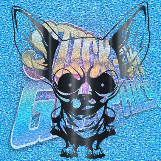 Chihuahua 015