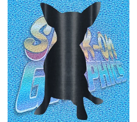 Chihuahua 001