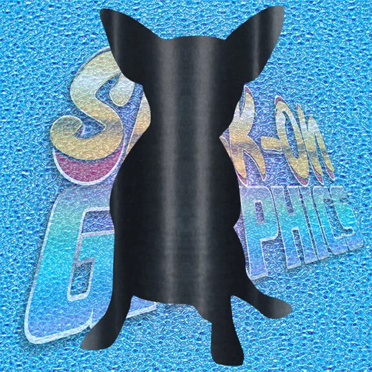 Chihuahua 001