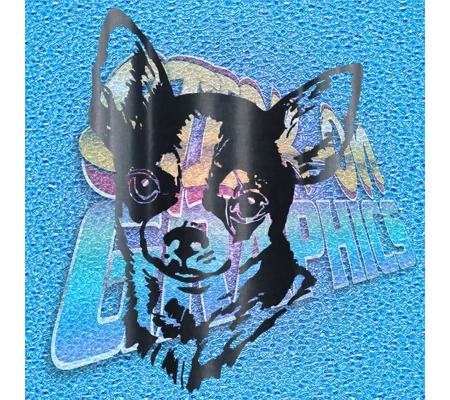 Chihuahua 016