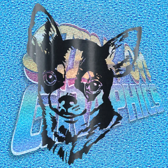 Chihuahua 016