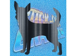 Chihuahua 002
