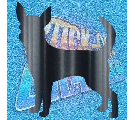 Chihuahua 002