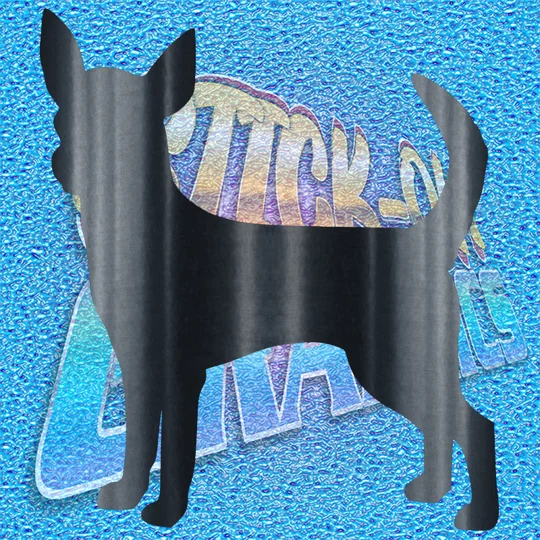 Chihuahua 002