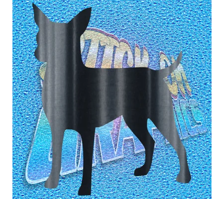Chihuahua 003