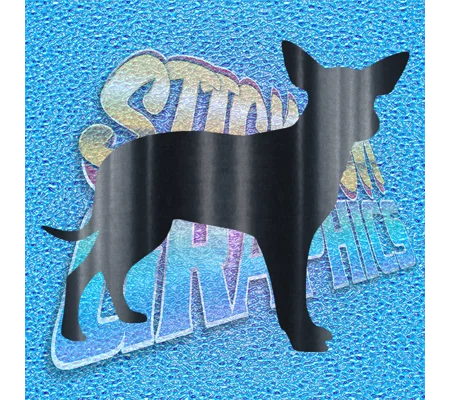 Chihuahua 004