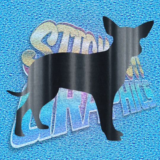 Chihuahua 004