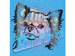 Chihuahua 005