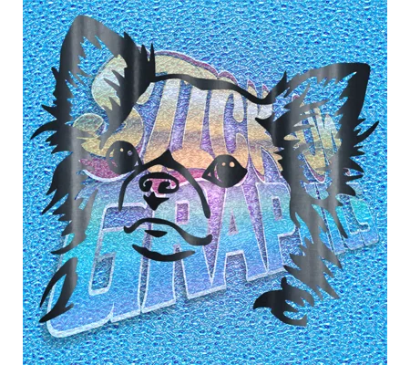 Chihuahua 005